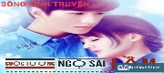 Cuộc Tương Ngộ Sai Lầm