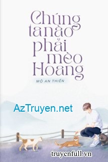 Chúng Ta Nào Phải Mèo Hoang