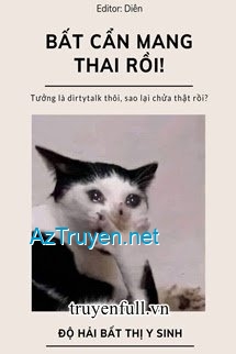 Bất Cẩn Mang Thai Rồi