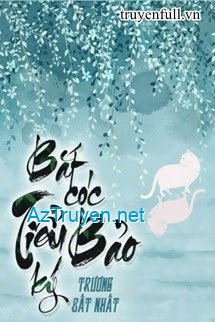 Bắt Cóc Tiểu Bảo Ký